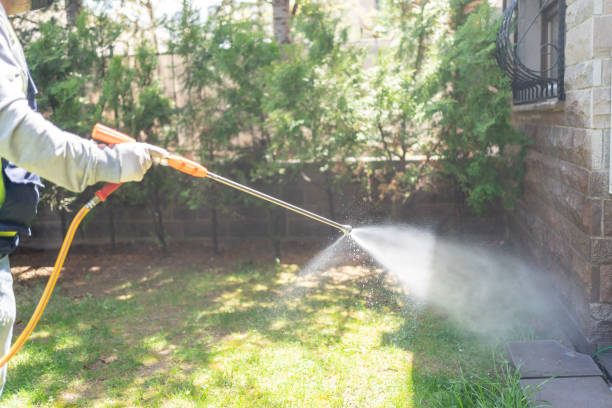 Best Seasonal Pest Control (e.g., summer mosquitoes, winter rodents)  in Minoa, NY